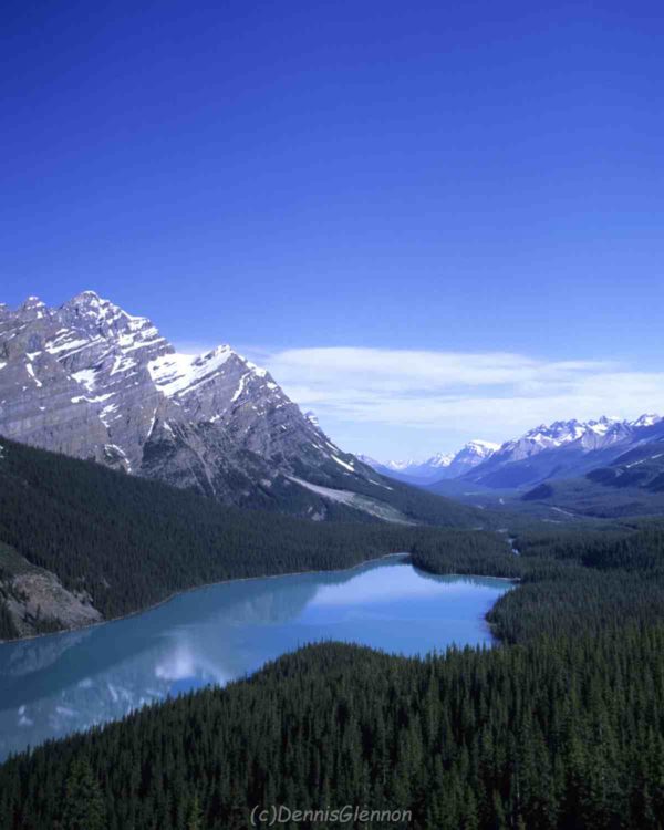 Peyto Lake Canadian Rockies